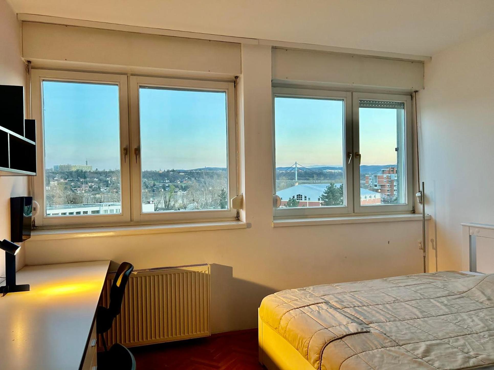 Апартамент Danube View