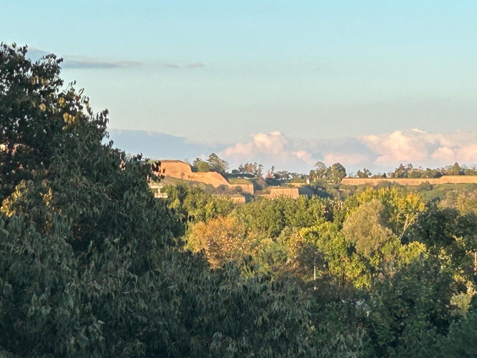 Διαμέρισμα Danube View