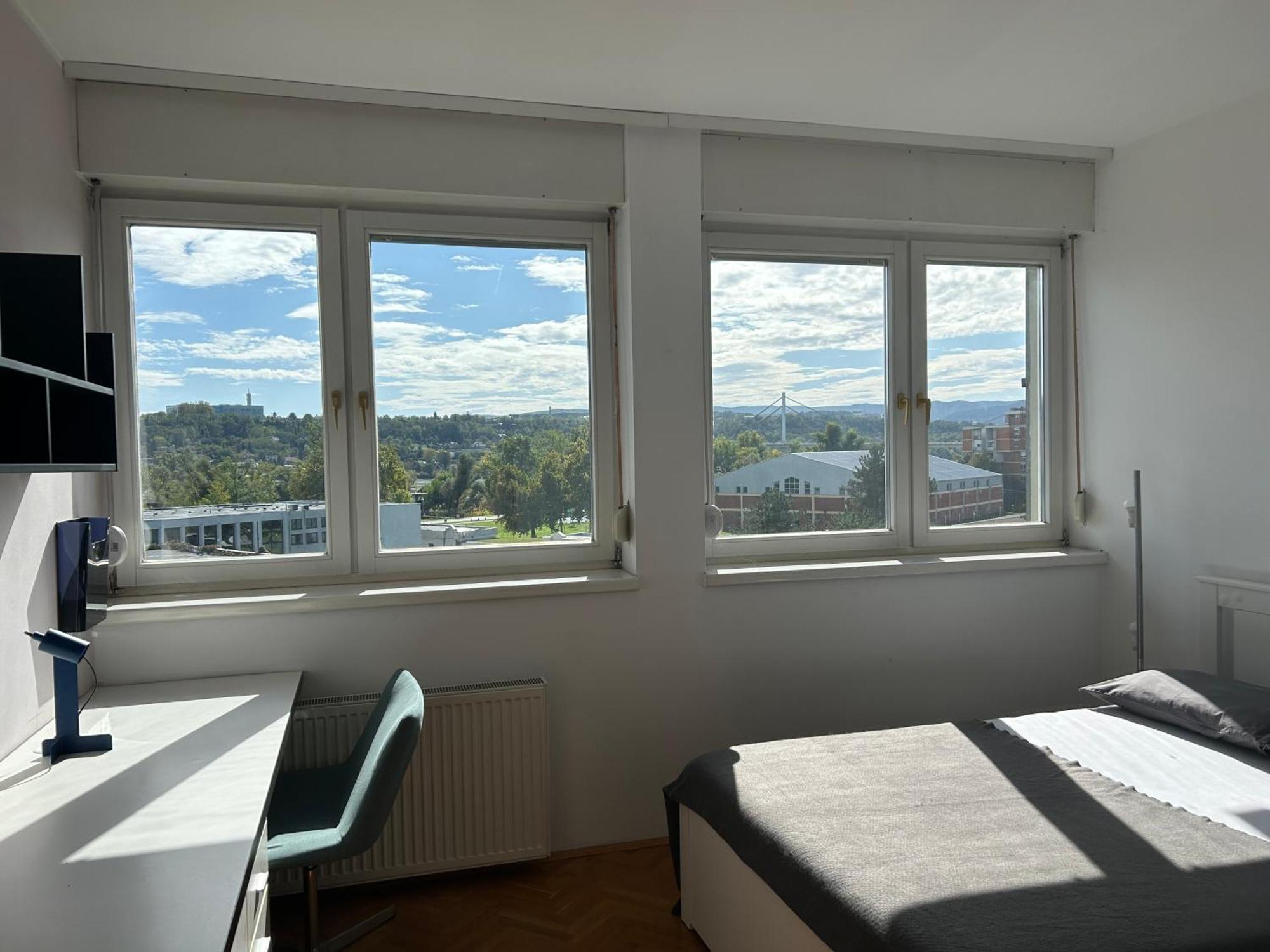 Danube View *