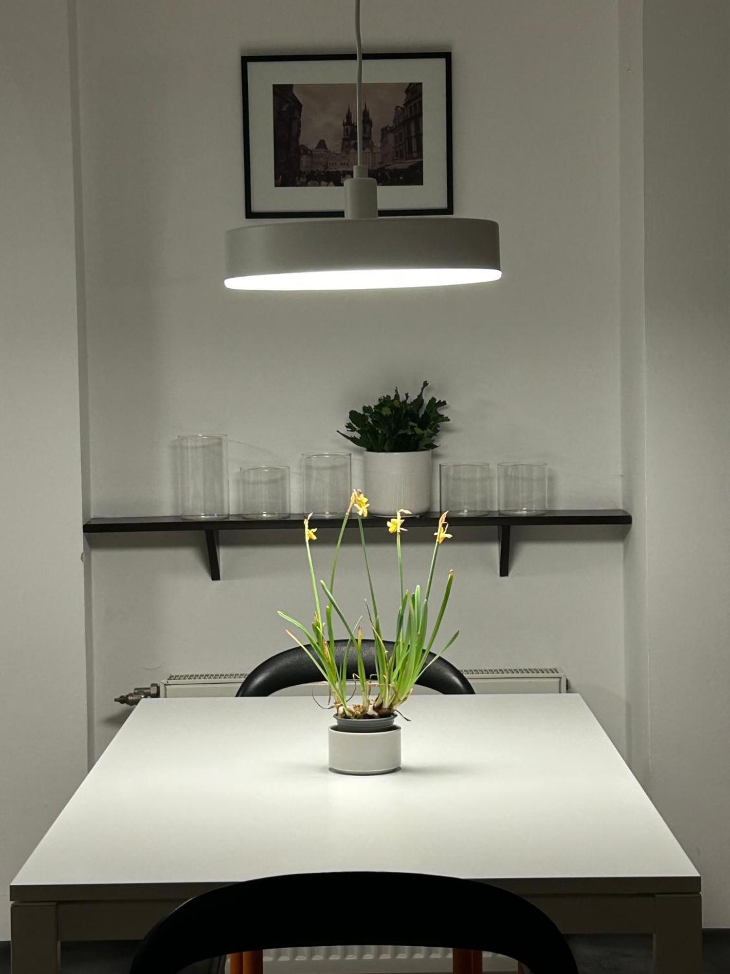 Danube View Apartment