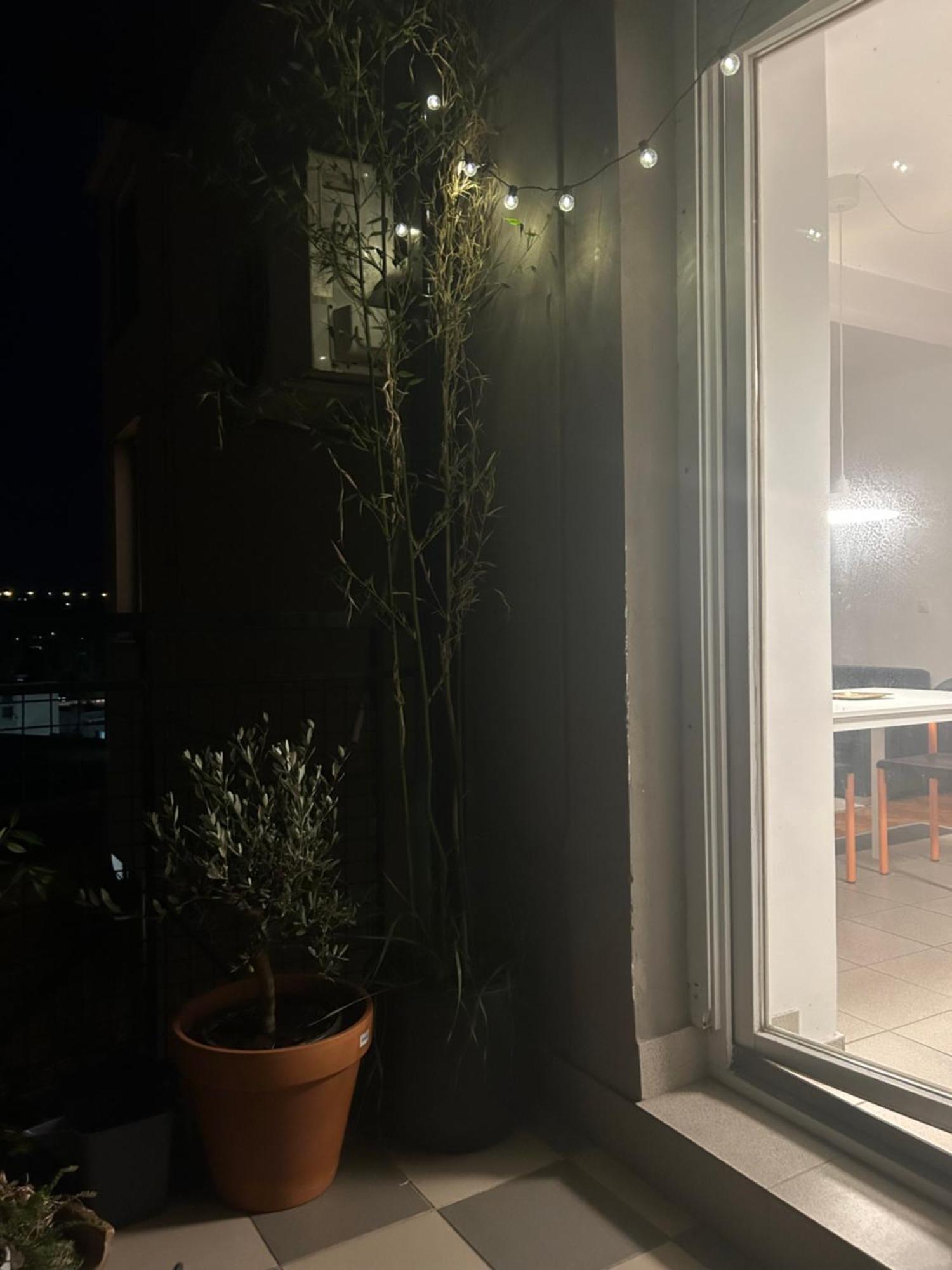 Danube View Apartment Novi Sad